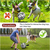 Interactive Dog Football Toy – Training & Outdoor Play Ball